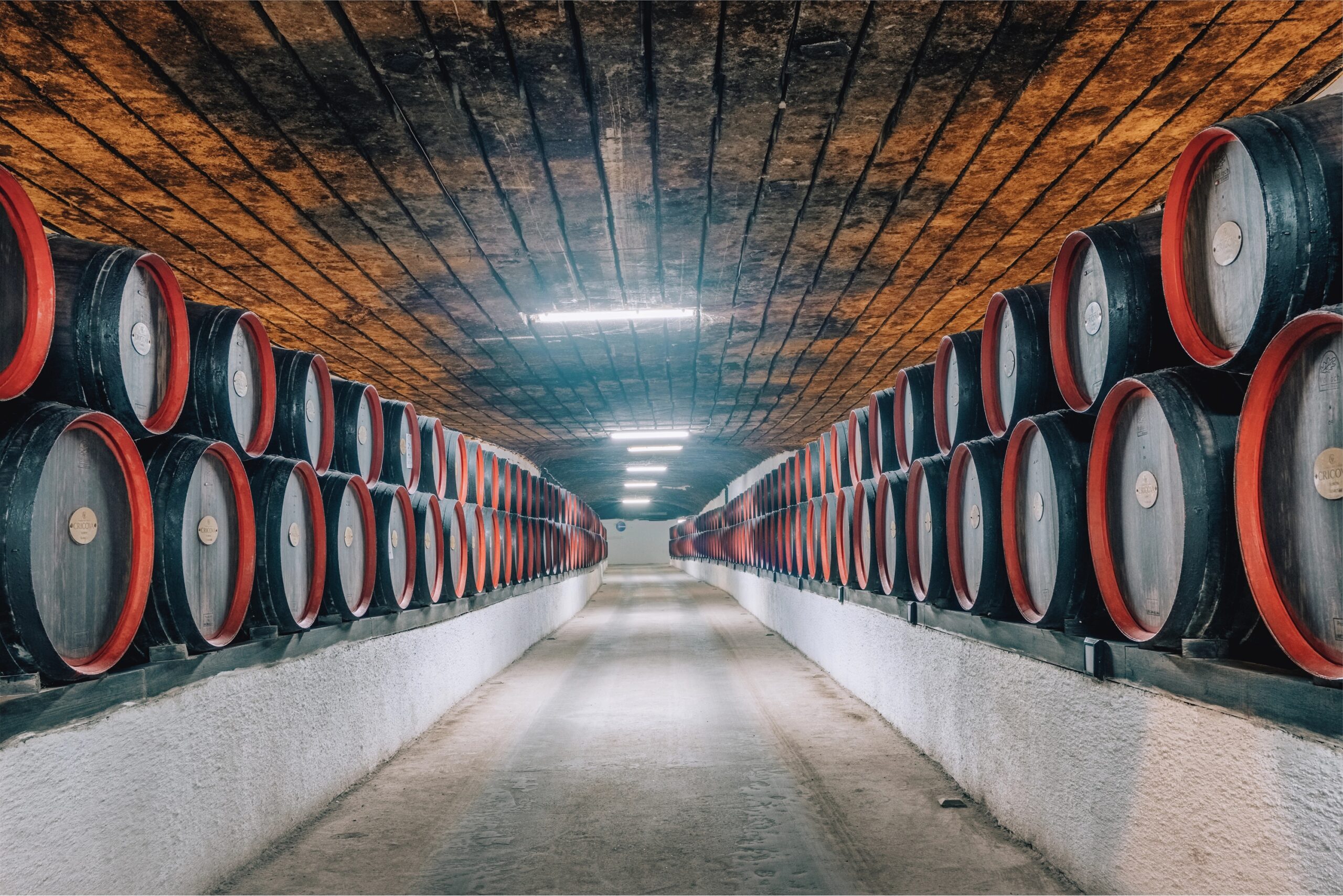 cricova weingut