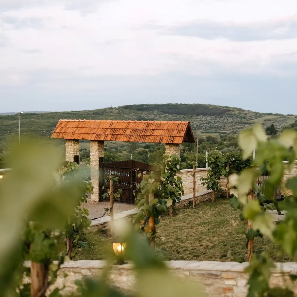 Crama Mircești moldovie